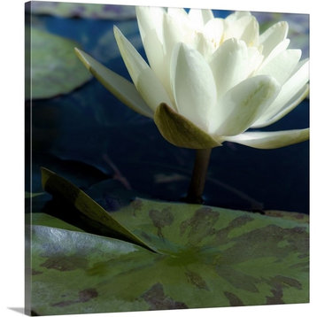 Water Lilies II Wrapped Canvas Art Print, 12"x12"x1.5"