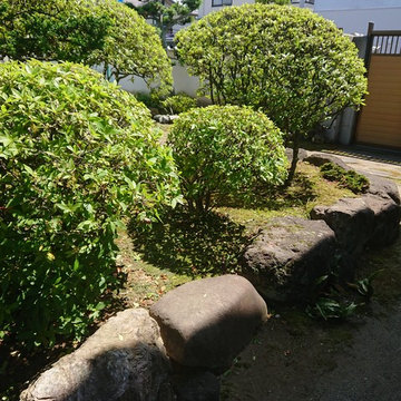 刈り込み 刈り込み鋏