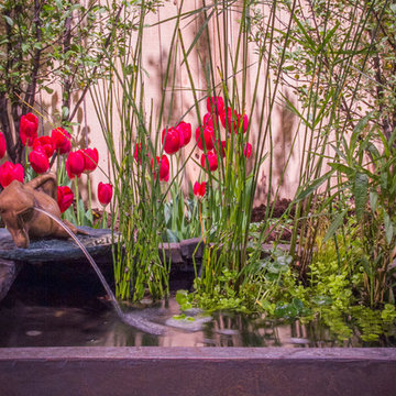 Container Water Gardens