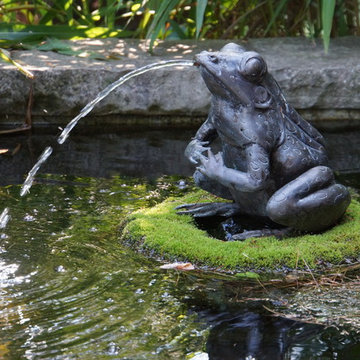 Water Features