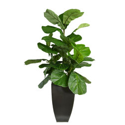 Contemporary Artificial Plants And Trees by Botanical Home Collection