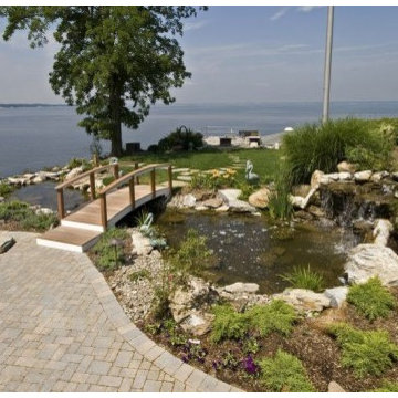 Backyard Ponds