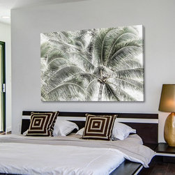 Tropical Trees - Products