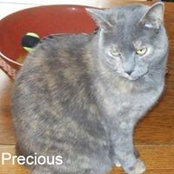 Carol Watson-See's photo