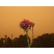 Michelle Abbott's photo