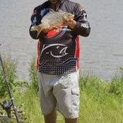Robert Stephens's photo