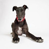 Cara Erickson's photo