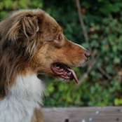 Anja Hoffmann's photo