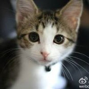 Rui Zhao's photo