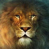 Maria Cordero's photo