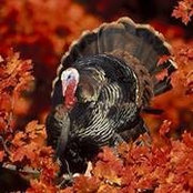 Wendy Stabnow's photo