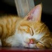 Fiona Lim's photo