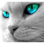 Marlene Mursulí's photo