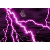 Dawn Radford's photo