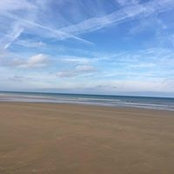Dorothee Barbe Sucheras's photo