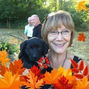 Sharon Traviss billede