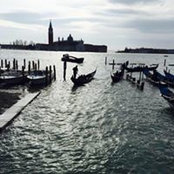 Raluca Dinca's photo