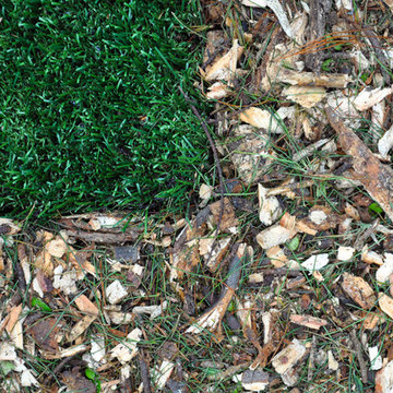 Recycled Tree Chips