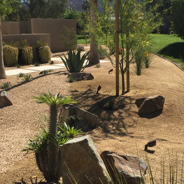 Palm Desert Front Yard Desert Makeover