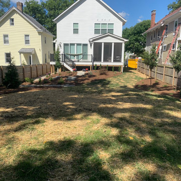 Hyde Park Residence - Backyard