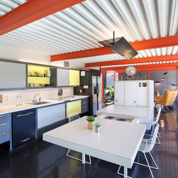 Eichler X-100 For Sale