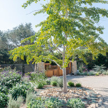 9. Front Yard