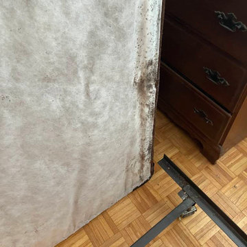 Quality Affordable Pest Control Scarborough - Pest Control Service
