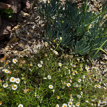 Une oasis méditerranéenne à Agay
