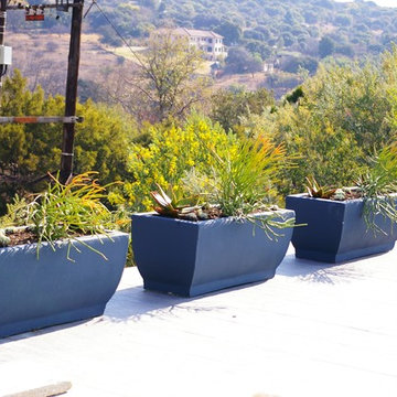Olive Crest Estate - Gomes house
