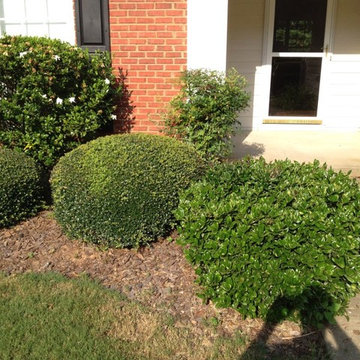 Lawn Envy Projects