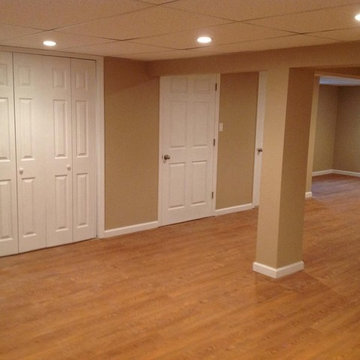 Basement Remodeling Project