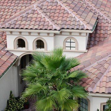 Capistrano 3725 Palm Beach Blend