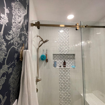 Danville Guest Bathroom remodel