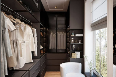 Inspiration for a closet remodel in Salt Lake City