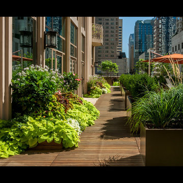 Dynamic Downtown Rooftop Resort