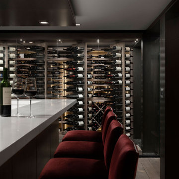 Luxe Modern Cellar In Illionois