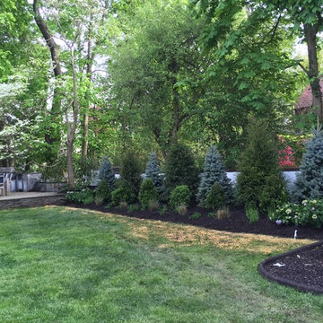 Landscape Bed: Planting Installation