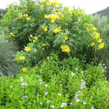 Plant Palette