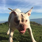 Heather Simpson's photo