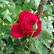 Marybeth Boger's photo