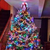 Erica Otto Baloun's photo