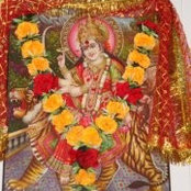 Raj Moola's photo