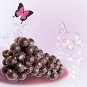 Светлана Петрова's photo