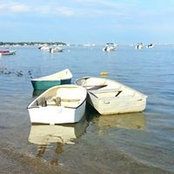 Suzanne Corrigan's photo