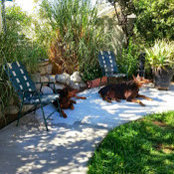 Rhonda Lucas's photo