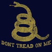 Nicholas Monello's photo