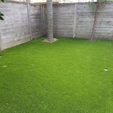 Rice Military Backyard
