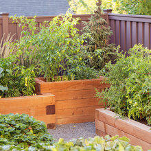 gardens