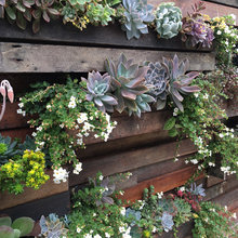 Exterior Fences