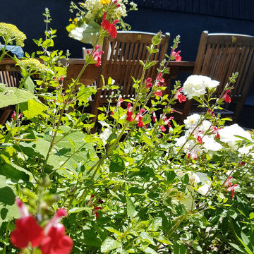 Le petit Cottage nantais